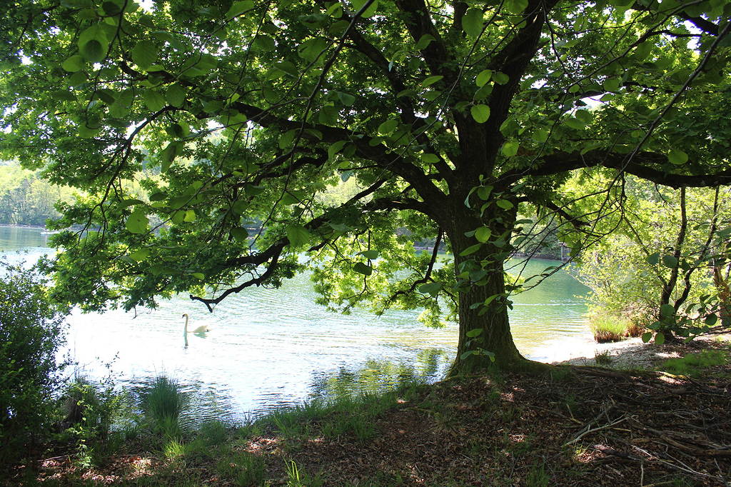 8 - Pella, Lago d’Orta – Appartamenti e villa con vista mozzafiato sul lago e sull’isola, spiaggia privata e posto barca. pella