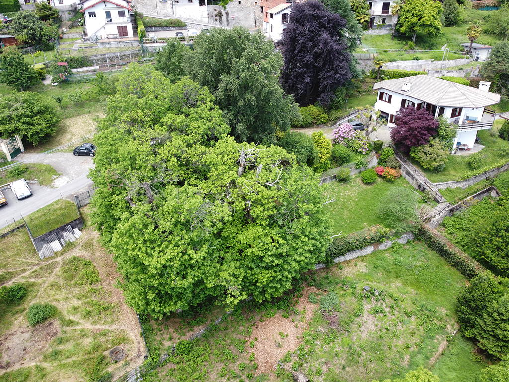 A Colazza, colline tra il Lago d’Orta e il Lago Maggiore, villa panoramica di circa 280 mq commerciali, immersa nel verde e nella tranquillità . COLAZZA 1 - A Colazza, colline tra il Lago d’Orta e il Lago Maggiore, villa panoramica di circa 280 mq commerciali, immersa nel verde e nella tranquillità . COLAZZA