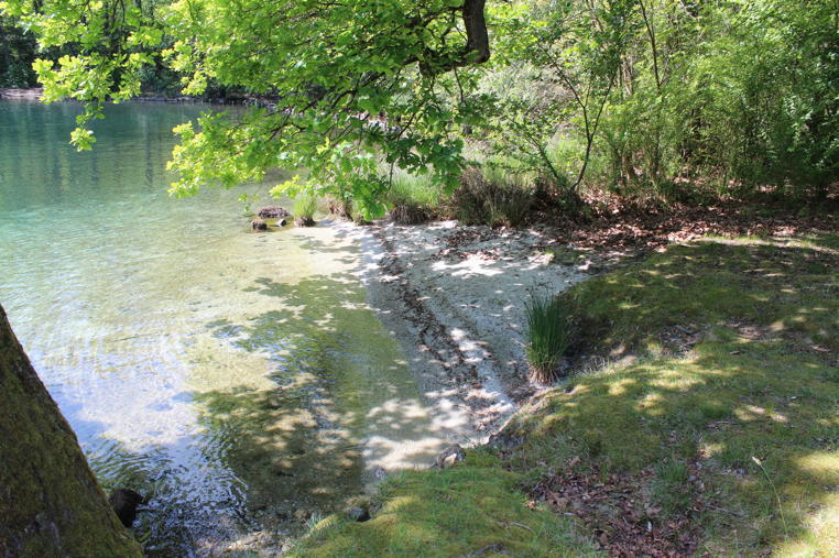 3 - Pella, Gozzano, Lago d’Orta – Appartamenti e villa con vista mozzafiato sul lago e sull’isola, spiaggia privata e posto barca. PELLA